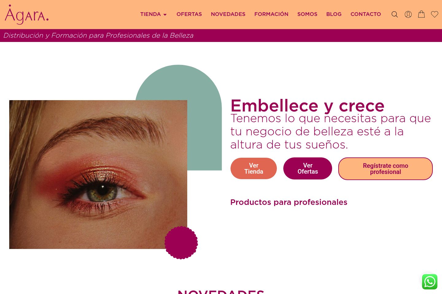 Captura del proyecto Agara