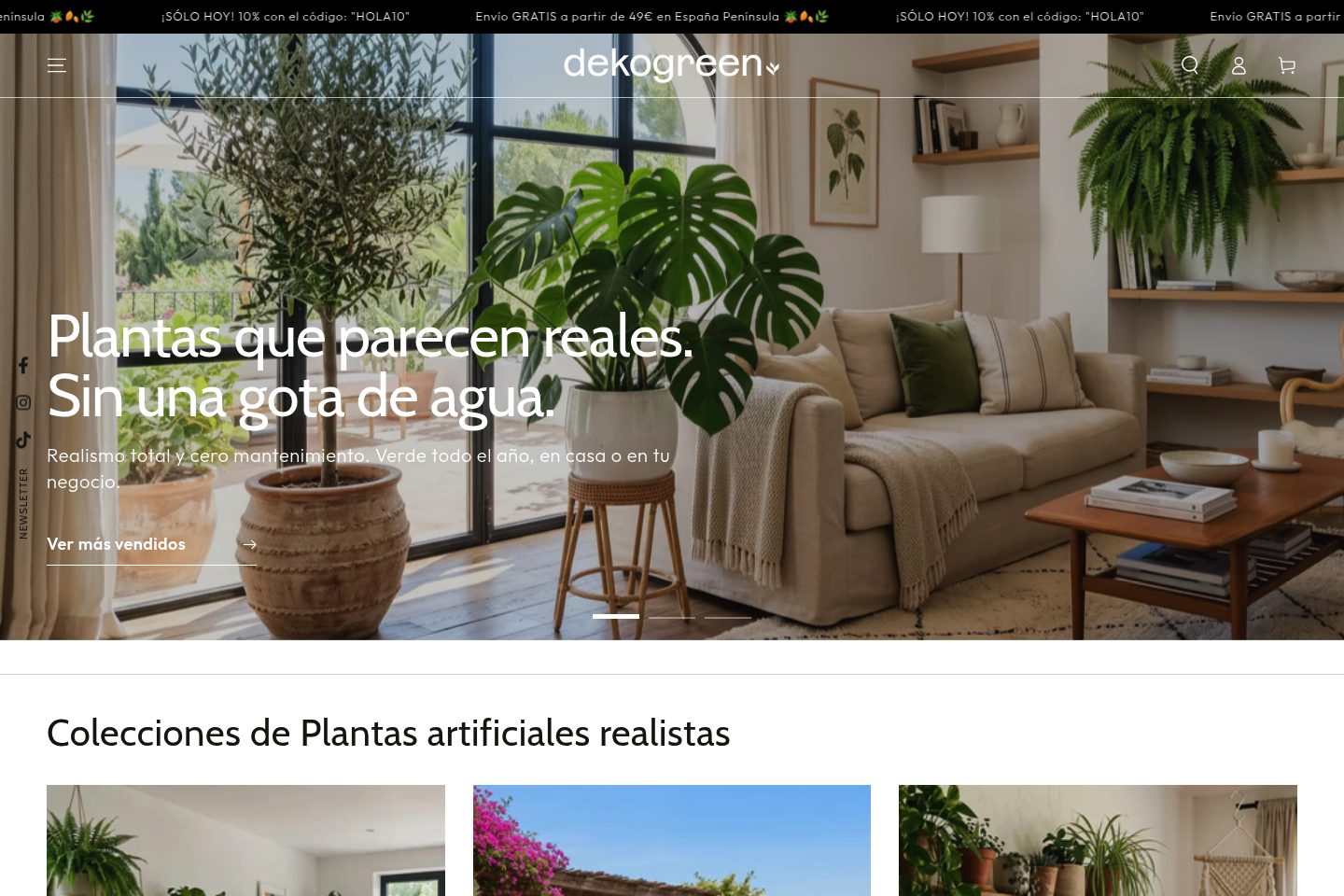 Captura del proyecto Dekogreen Home