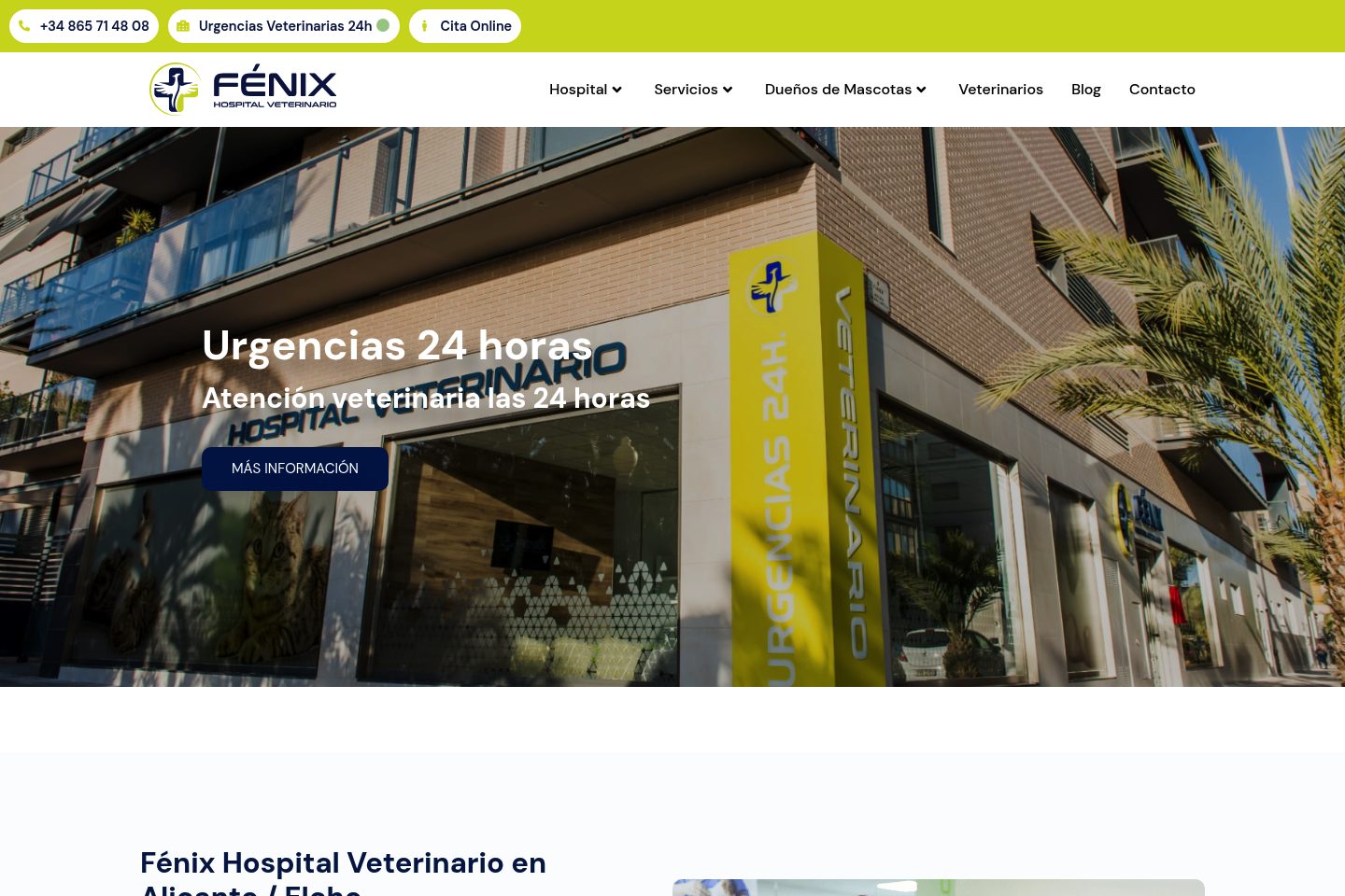 Captura del proyecto Fénix Hospital Veterinario