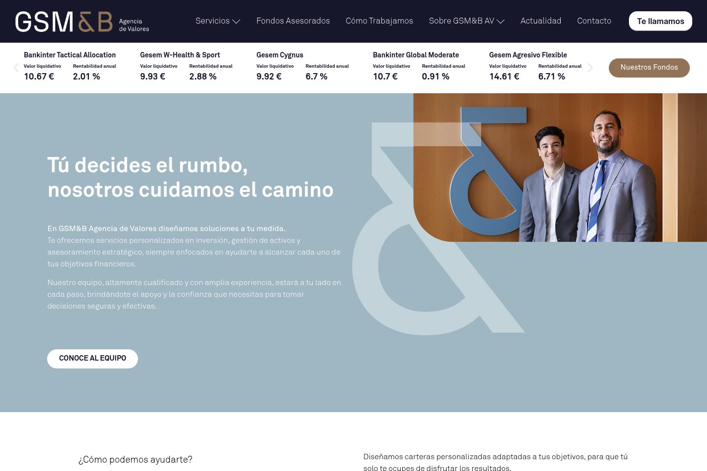 Captura del proyecto GSMAV