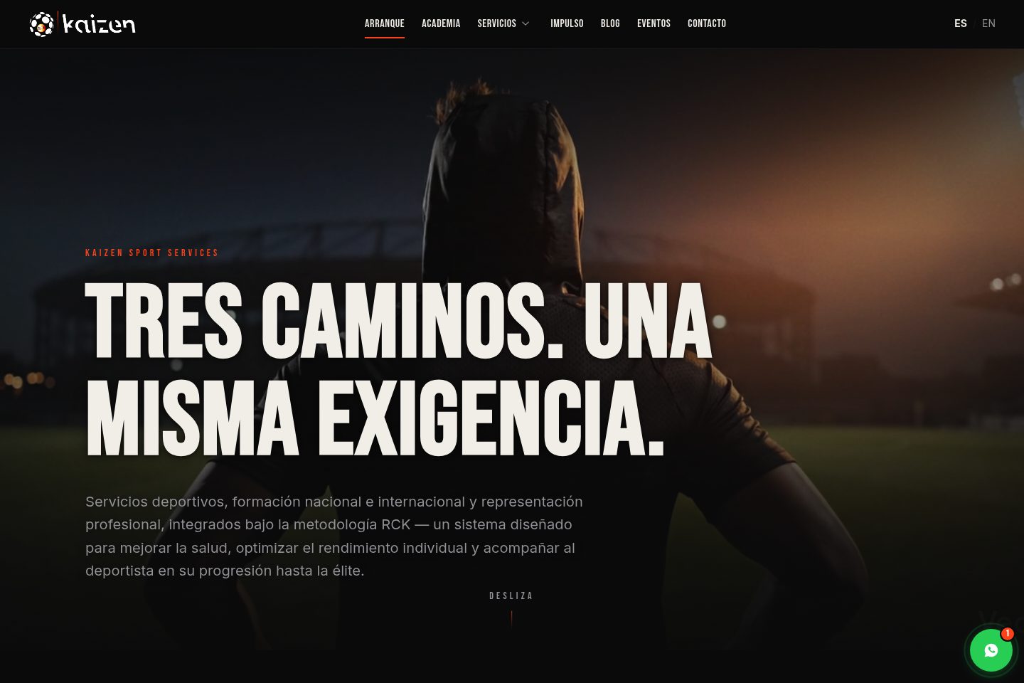 Captura del proyecto Kaizen Sport Services