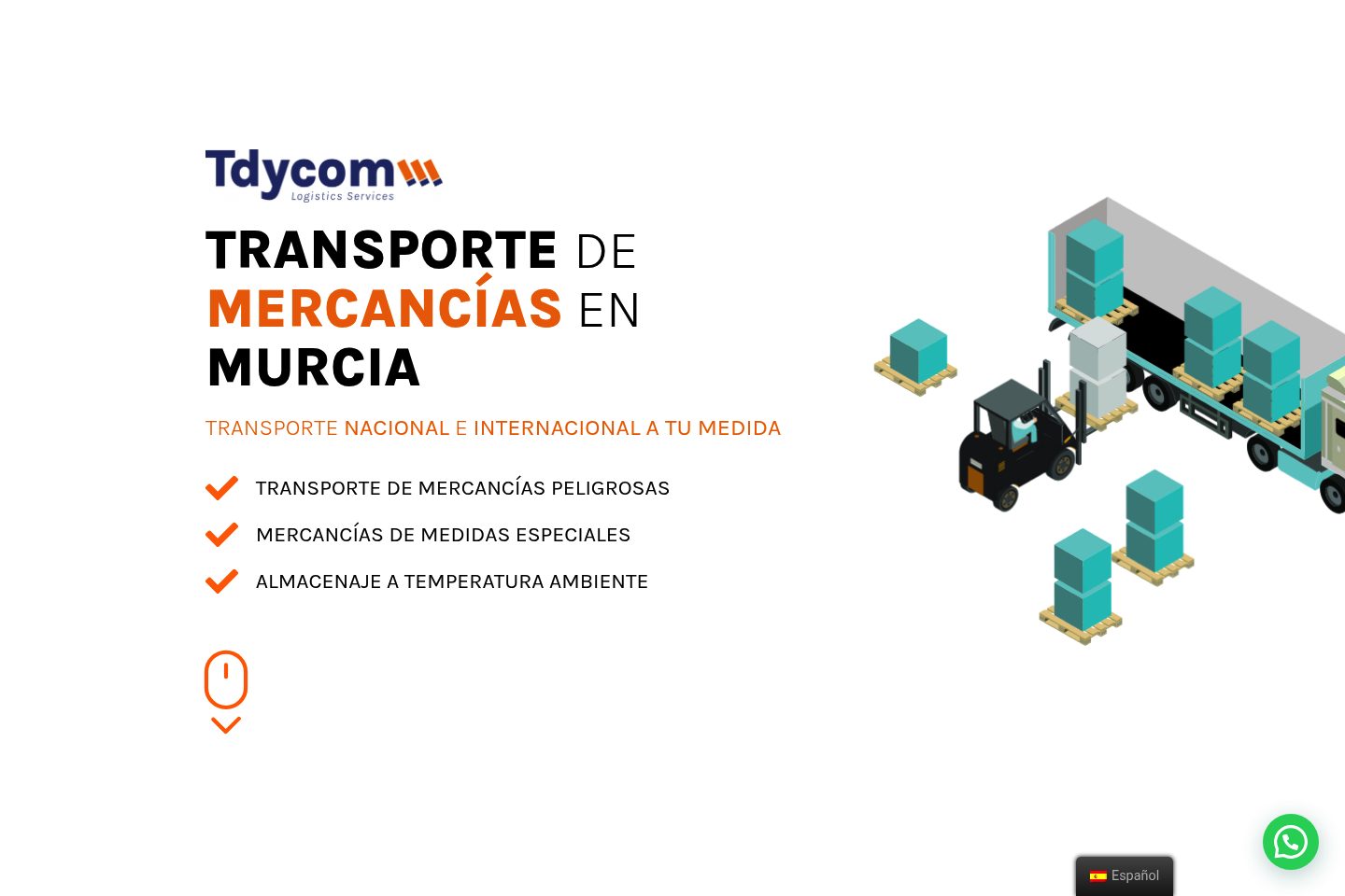 Captura del proyecto TDYCOM