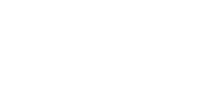 Shopify Select Partner